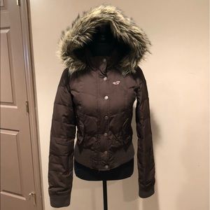 Brown Hollister Winter Jacket, Medium